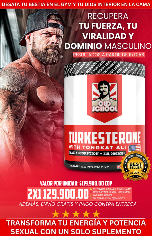 Turkestone
